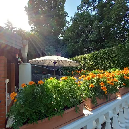 Guest house Maria 3*