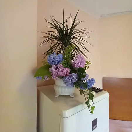 Guest house Maria 3*