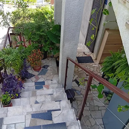 Maria Guest house 3*