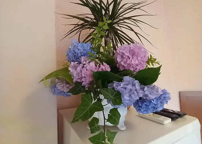 Maria * אופטיה